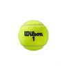 WILSON ROLAND GARROS (4) teniso kamuoliukai