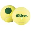 WILSON STARTER Žalias teniso kamuoliukai (4 kam.)