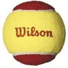 WILSON STARTER Raudonas teniso kamuoliukai (36 kam.)