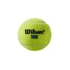 WILSON TOUR PREMIER (4) teniso kamuoliukai