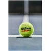 WILSON US OPEN teniso kamuoliukai (3)