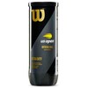 WILSON US OPEN teniso kamuoliukai (3)
