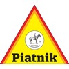 Piatnik Žaidimas „Greitasis domino“