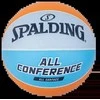 SPALDING ALLCONFERENCE (SIZE: 5)