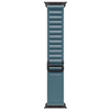 „Apple“ 49 mm šviesiai mėlynas „Alpine Loop“ – didelis – juodo titano apdaila