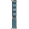 Apple 49mm Light Mėlyna Alpine Loop - Small - Natural Titanium Finish