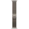 Apple 49mm natūralaus titano Milanese kilpa – didelė