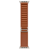 „Apple“ 49 mm terakotos spalvos „Alpine Loop“ laikrodis – vidutinio dydžio – natūralaus titano apdaila