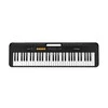 Sintezatorius Casio CT-S100 su akompan.