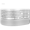 Klaviatūra Logitech – banginiai klavišai