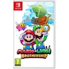 Nintendo Mario ir Luigi: Brolija