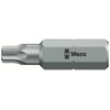 Antgalis „WERA" TX20