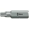 Antgalis „WERA" TX20