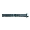 Fischer Ankeris su varž. FSA S 12/50 12x110 mm