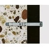 Fischer Ankeris su varž. FSA S 12/50 12x110 mm