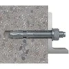 Fischer Ankerinis varžtas FBN II 16/50 16x170 mm