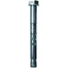 Fischer Ankeris su varžtu FSA S 10/10 10x60 mm