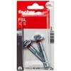 Fischer ankeris su varžtu FSL 10 S 2vnt.