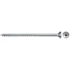 Fischer medsraigčiai FPF II CTP 5,0x60 200 vnt.