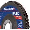 Grąžtas Irwin SPECIALIST+ lapelinis šlif. diskas BASIC ZK80, 125 mm