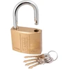 RICHMANN Aukso spalvos spyna 60 mm