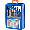 RICHMANN Metalo grąžtų rinkinys 1-10 mm 19 vnt