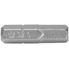Richmann Šešiak. vidinis antgalis 1/4", 6x25 mm