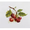 Alisa Beldizart Cherry S0-140
