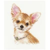 Alisa Beldizart Chihuahua S1-30