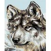 Wizardi Beldizart Dailininko rinkinys 16.5x13 cm MINI036