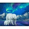 Wizardi Beldizart Dailininko rinkinys 40x50 cm H095