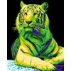 Wizardi Beldizart SALE Dailininko rinkinys 40x50 cm H139