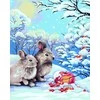 Wizardi Beldizart Dailininko rinkinys 40x50 cm L018