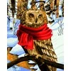Wizardi Beldizart Dailininko rinkinys 40x50 cm L022
