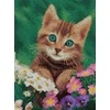 Beldizart (Nutraukta) Deimantinė tapyba su subrėmeliu "Mielos akys" 30*40 cm VA023