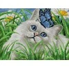 Beldizart (Nutrauktas) Deimantinis paveikslėlis su porėmiu "Mėlynos akys" 30*40 cm VA038