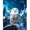 Beldizart Deimantų tapyba su porėmiu "Magic Owl" 40x50 cm DP415