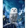Beldizart Deimantų tapyba su porėmiu "Magic Owl" 40x50 cm DP415