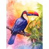 Beldizart (Panaikinta) Deimantinė tapyba su porėmiu Tukano 30x40 cm VA843