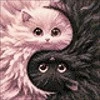Wizardi Beldizart Deimantų paveikslėlio rinkinys "Yin Yang" 20x20 cm WD3201