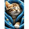 Wizardi Beldizart Deimantinės tapybos rinkinys "Purr purr" 20x30 cm WD3200