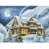 Wizardi Beldizart Žiemos namelis 40*30 WD3042