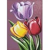Tulip Beldizart Deimantines mozaikos rinkinys WD021