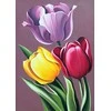 Tulip Beldizart Deimantines mozaikos rinkinys WD021