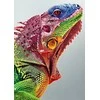 Wizardi Beldizart Dailininko rinkinys 16.5x13 cm MINI114