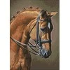 Wizardi Beldizart Šuoliai su žirgais 27 х 38 cm WD256