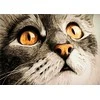Wizardi Beldizart EAN 4630033465109 WD215