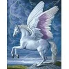 Wizardi Beldizart Deimantines mozaikos rinkinys WD176