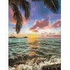 Wizardi Beldizart Oceano saulėlydis 30*40 WD3045