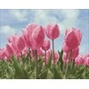 Wizardi Beldizart SALE Deimantines mozaikos rinkinys WD2301